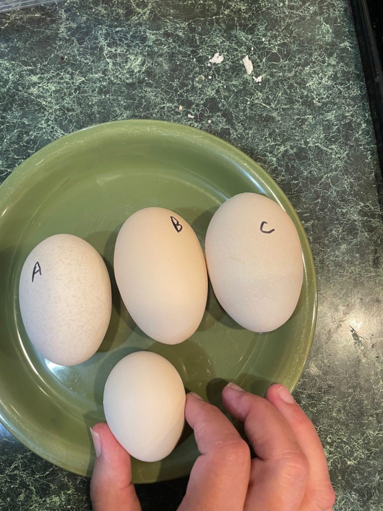 Giant Eggs