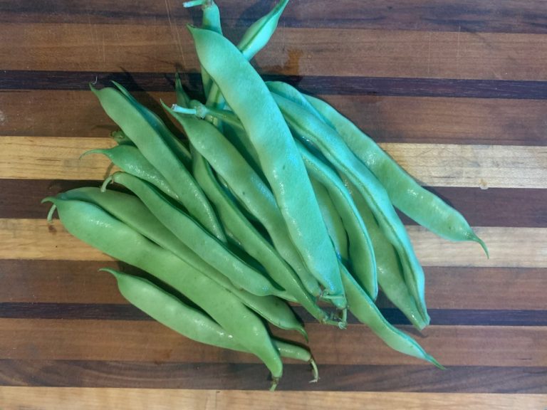 Roma Beans