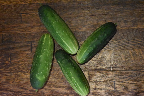 cucumber web