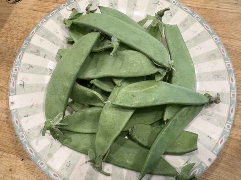 Snow Peas