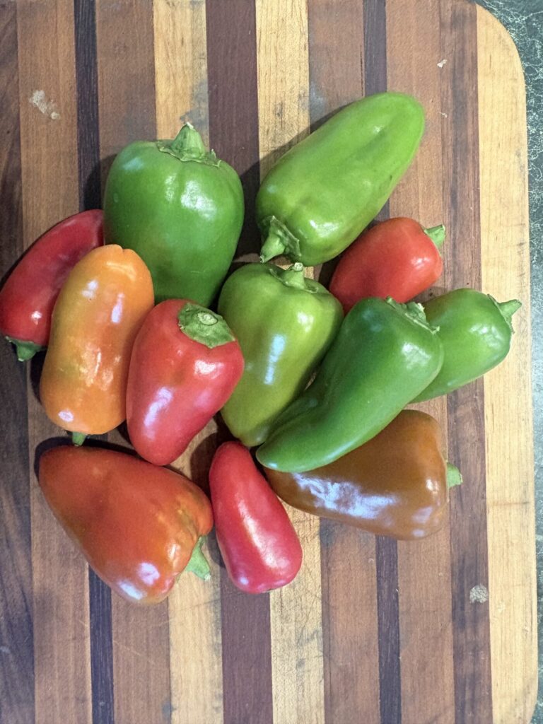 Lunchbox Pepper